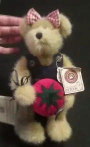 NEW BOYD'S BEAR SERENDIPITY WISHKABIBBLE & GIANT TOMATOE 10" W/TAGS