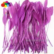 15-20 cm Red Purple Stripped Goose Feathers Party Mask Hat Accessory Dyed Single