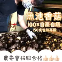 在飛比找蝦皮購物優惠-美食伴手禮 魚池香菇 興大檢驗無農藥 乾香菇 傳承第三代菇農