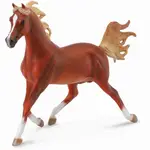 COLLECTA動物模型 - 大阿拉伯馬 ( 板栗色 ) < JOYBUS >