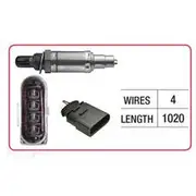 RAE Oxygen Sensor - OX678