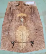 Spalted Maple Guitar Top #107 23 3/4" x 9"-7" x 0.36"