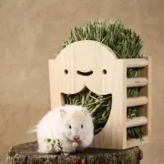 Bunny Hay Feeder Pet Food Dispenser Hanging Wooden Hay Manger Rack Holder