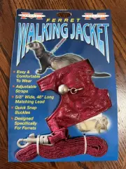 Marshall Ferret Jacket Harness and Lead with bell - Wine & Lines