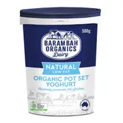 Organic Barambah Organics Low-Fat Natural Yoghurt 500g– Fresh, healthy organic delivery | Doorstep Organics.
