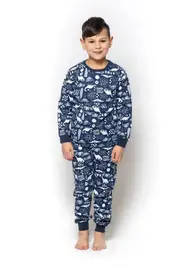 Boys Sizes 3-7 Blue Dinosaur Print Long Set PJS Pyjamas