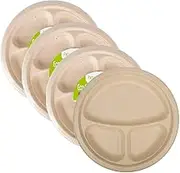 [40PCE] Party Central 3 Compartment Eco-Friendly Plates, Biodegradable Dinnerware, Convenient Separation for Balanced Meals, Ideal for Parties and Events