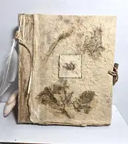 PHOTO ORGANIZER WITH HANDMADE PAPER COVER AND INSERTS WITH SHELL AND FEATHER