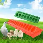 Bird Feeder Chicken Feed Trough Poultry Ground Feeder Pheasant Feeding Bucket