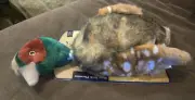 JAKKS AMERICAN CLASSIC Rope Neck Pheasant Squeaker Plush Large Dog Toy New