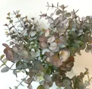 Australian native flower greenery plants eucalyptus gum bush artificial bunch