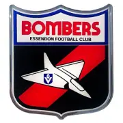 NEW Essendon Bombers Retro Logo Decal