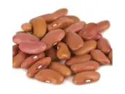 Light Red Kidney Beans 20 lbs.