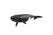 Schleich North Atlantic Right Whale Kids Action Figure 19.5cm Animal Toy 3y+