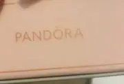 Pandora Necklace And 2 Charms
