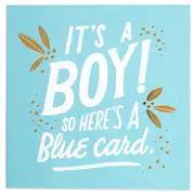 Fun It's A Boy Congratulations Card