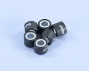 POLINI Variator Rollers 16x13mm 6,3gr