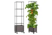 SpringUp Raised Garden Bed Planter Boxes with Trellis for Climbing Vegetables Plants 40*30*160cm