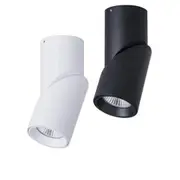 Nella LED Downlight 12w Black, White CCT HV5823T Havit Lighting