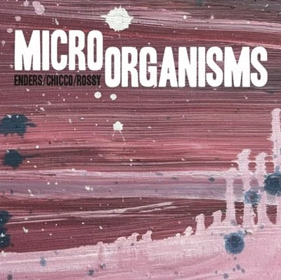 NA - Johannes Enders Reto Chicco Jorge Rossy - Micro Organisms LP R - O4z