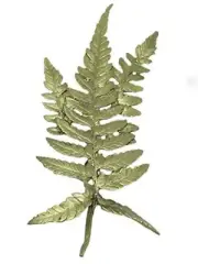 MICHAEL MICHAUD Fern 3 Leaf Pin 5955