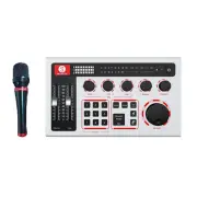 SABINETEK SabineCast Audio Mixer Sound Board w/ Wired Microphone - P100GY-PM01BK