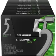 Spearmint Rain Sugar Free Chewing Gum, 15 Sticks (Pack of 10)