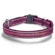 Dogness Led Colour Glowing Collar Purple
