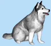 Diorama Animal Scene Props Resin 1/64 Husky Pet Dog Figure Painted Toys Gift
