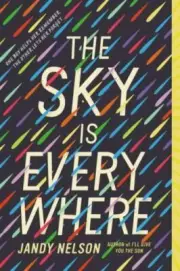 The Sky Is Everywhere - Paperback By Nelson, Jandy -Brand New