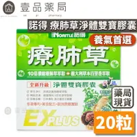 在飛比找樂天市場購物網優惠-【諾得NORITLE】療肺草淨體雙寶膠囊(升級版) 20粒/