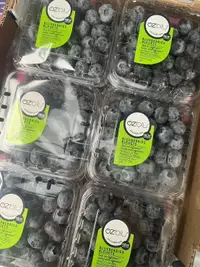 在飛比找樂天市場購物網優惠-祕魯Ozblu高品質藍莓/單盒125g