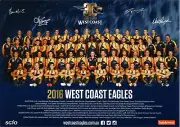 Afl football team photo, west coast eagles ,Adelaide crows,