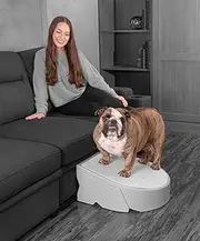 Pet Gear Stramp Stair and Ramp Combination for Dogs/Cats, Easy Step, Lightweight/Portable, Sturdy, Easy Assembly (No Tools Required), Fog