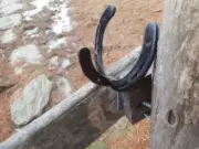 Rustic Horseshoe Hook