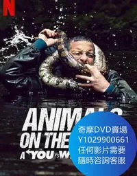 在飛比找Yahoo!奇摩拍賣優惠-DVD 海量影片賣場 你的荒野求生電影版：出逃的野獸/貝爾對