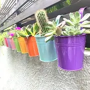 Hanging Pots for Plants - 10 Pack, Metal 4 Inch Pots for Plants with Drainage, Balcony Garden Rail Railing Fence Planters, Small Succulent Pots, Mini Flower Bucket Pot for Herb, Macetas para Plantas
