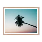 Horizontal Palm Framed Wall Art - Timber