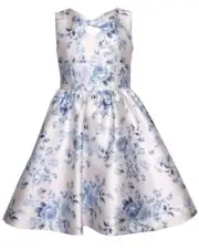 NEW Bonnie Jean Girls Size 4 "BLUE IVORY FLORAL TOILE" Mikado Twist Dress NWT