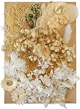 Dried Flowers Leaves Pressed Dried Flowers Mixed Multiple Natural Decorative Artificial Flowers Dried Flowers for Crafts Resin Cakes Diy Jewellery Nail Art Scrapbooks, Beige