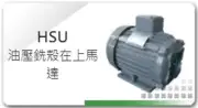 S.Y. HSU-1HP4P4P15L Hydraulic Motor Horizontal Type