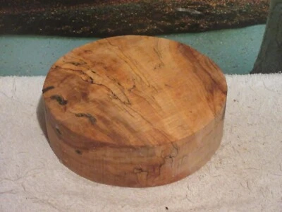 SPALTED MAPLE 10 x 3 Turning Wood bowl, large project blank