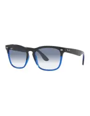 [Ray-Ban] STEVE Sunglasses In Black