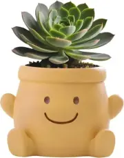 Smily Face Plant Pot Indoor Outdoor Cute 4 Inch Succulent Planter for Home Gard