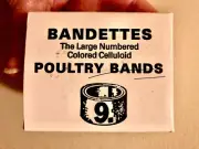 Bandettes For Poultry (Size 9) Clip Celluloid Leg Bands 25/Pieces/ Gallos RED