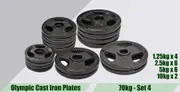 Total 70kg Set4 Olympic Cast Iron Weight Plate Set - Energetics Home Gym