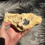 1225 GRAMS BEAUTIFUL ROUGH RED ORANGE CHALCEDONY SPECIMEN UNIQUE COLLECTION