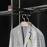 Retractable Closet Pull Out Rod Wardrobe, Bearing 40kg Extendable Valet Rod For Closet Pull Out, Aluminum Alloy Pull-out Clothes Rail, Double Row Damping Slide Rail Retractable Pants Rack (Color :