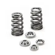 SuperTech Conical Spring Kit For BMW N54 / N55 / S55 Turbo - SPRK-FE20N54-BE2