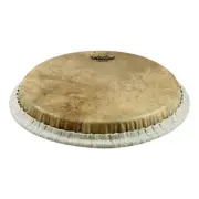 Conga, Tucked, 11.75 Skyndeep, Calfskin Graphic Drum Head